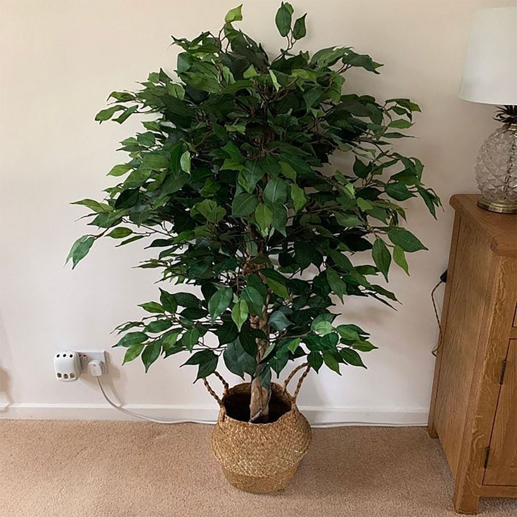 Realistic 90cm artificial ficus tree with lush foliage in a silver metal planter by Leaf.