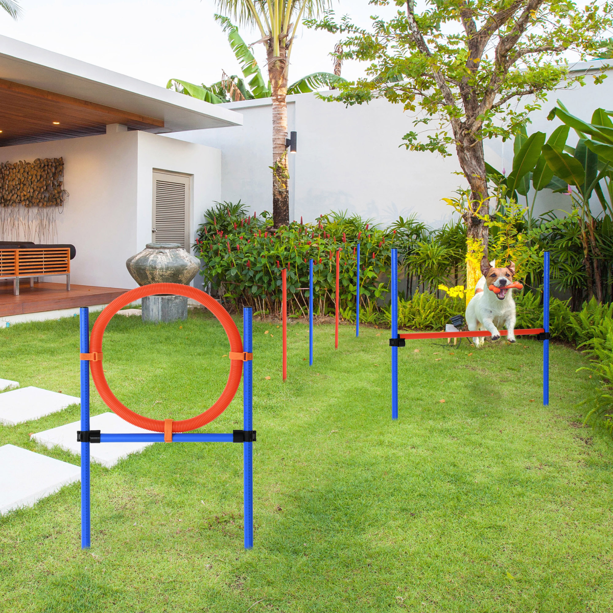 Pawhut dog agility set featuring jump hoop, poles, and tunnel for training and obedience practice in a backyard setting.