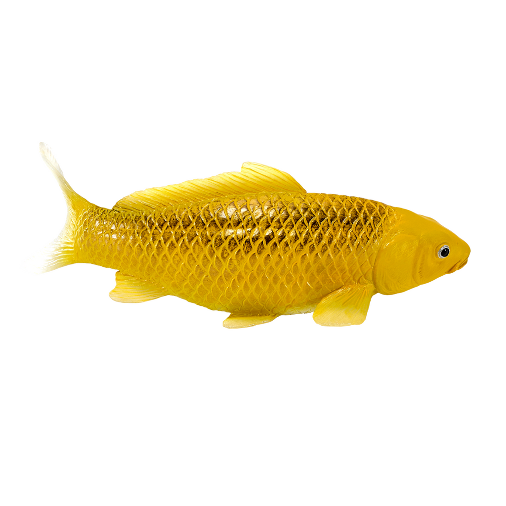 Kin Matsuba