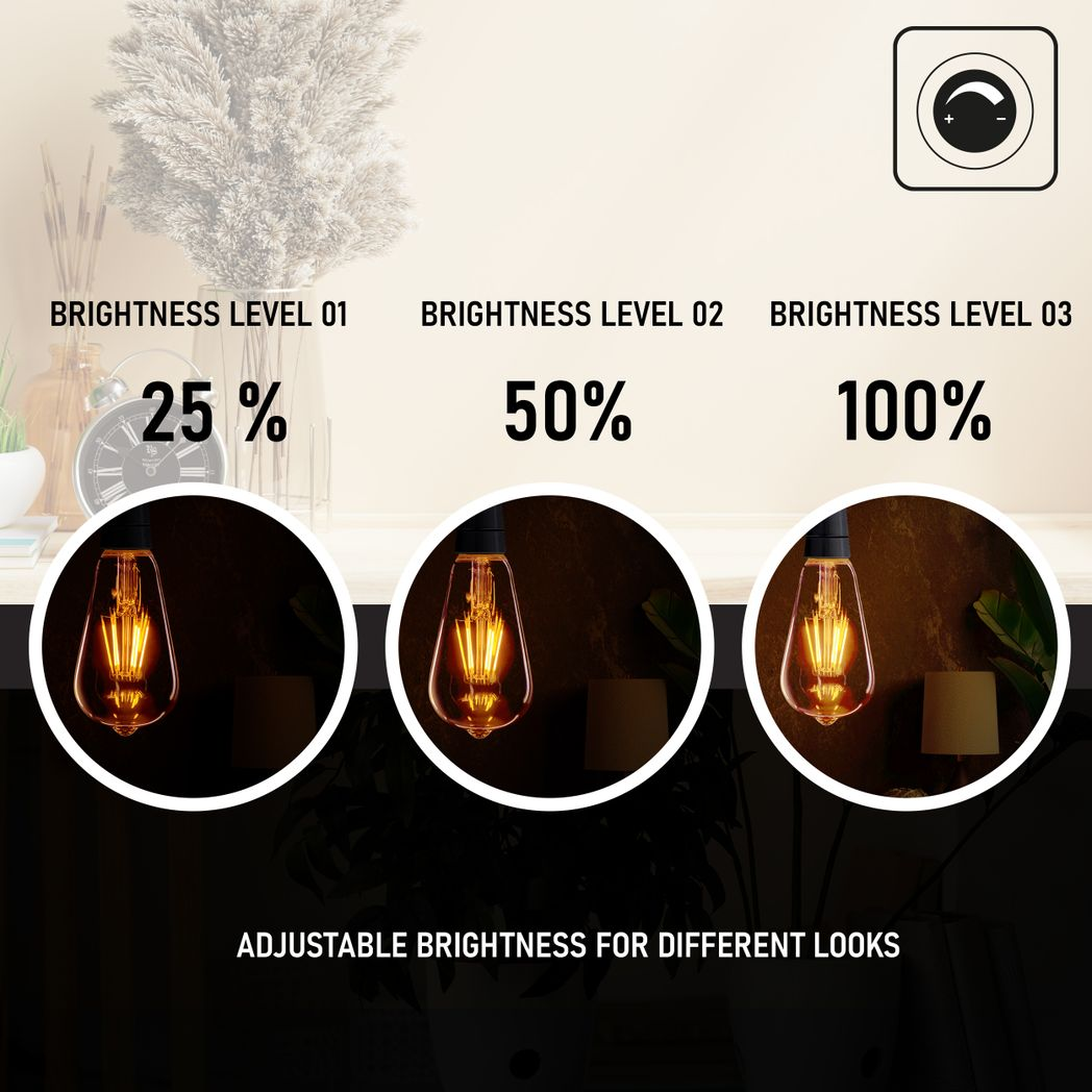 Two Ledsone LED Edison bulbs in vintage amber, ST64 shape, E27 base, dimmable, glowing softly at 2700K.