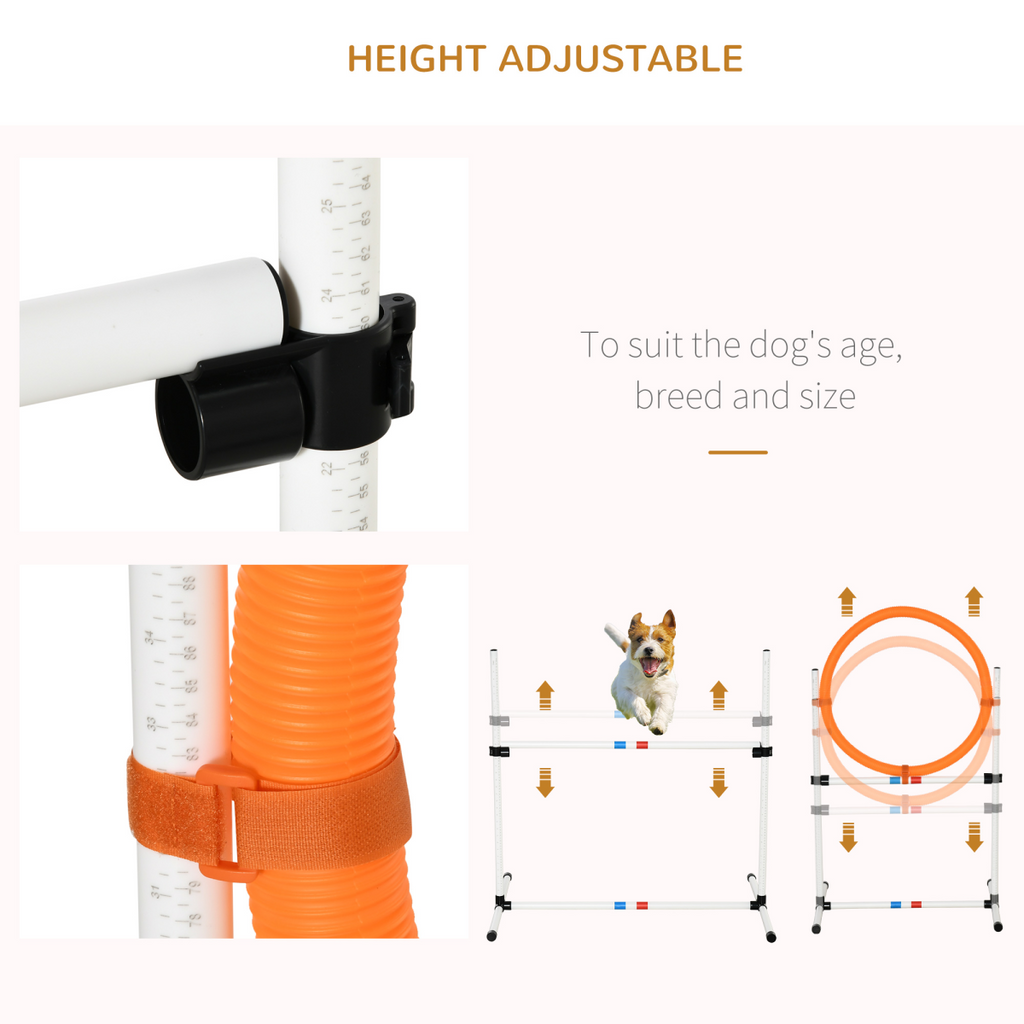 3-piece Pawhut pet agility training set for dogs, featuring colorful obstacles for obstacle courses in outdoor settings.