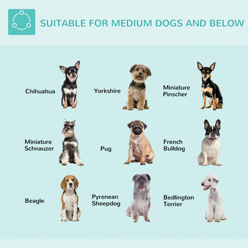 Foldable adjustable pet grooming arm with clamp, designed for medium dogs, showcasing sturdy construction and versatility.