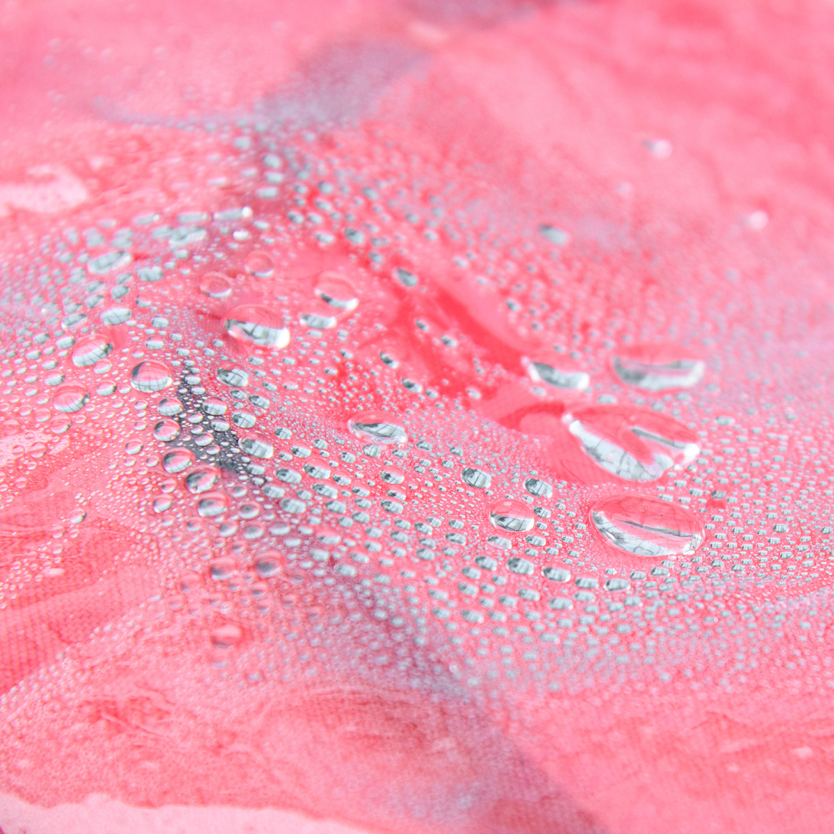 Rain Cover for Dog Pram Stroller Buggy, for Large, Medium Dogs with Rear Entry