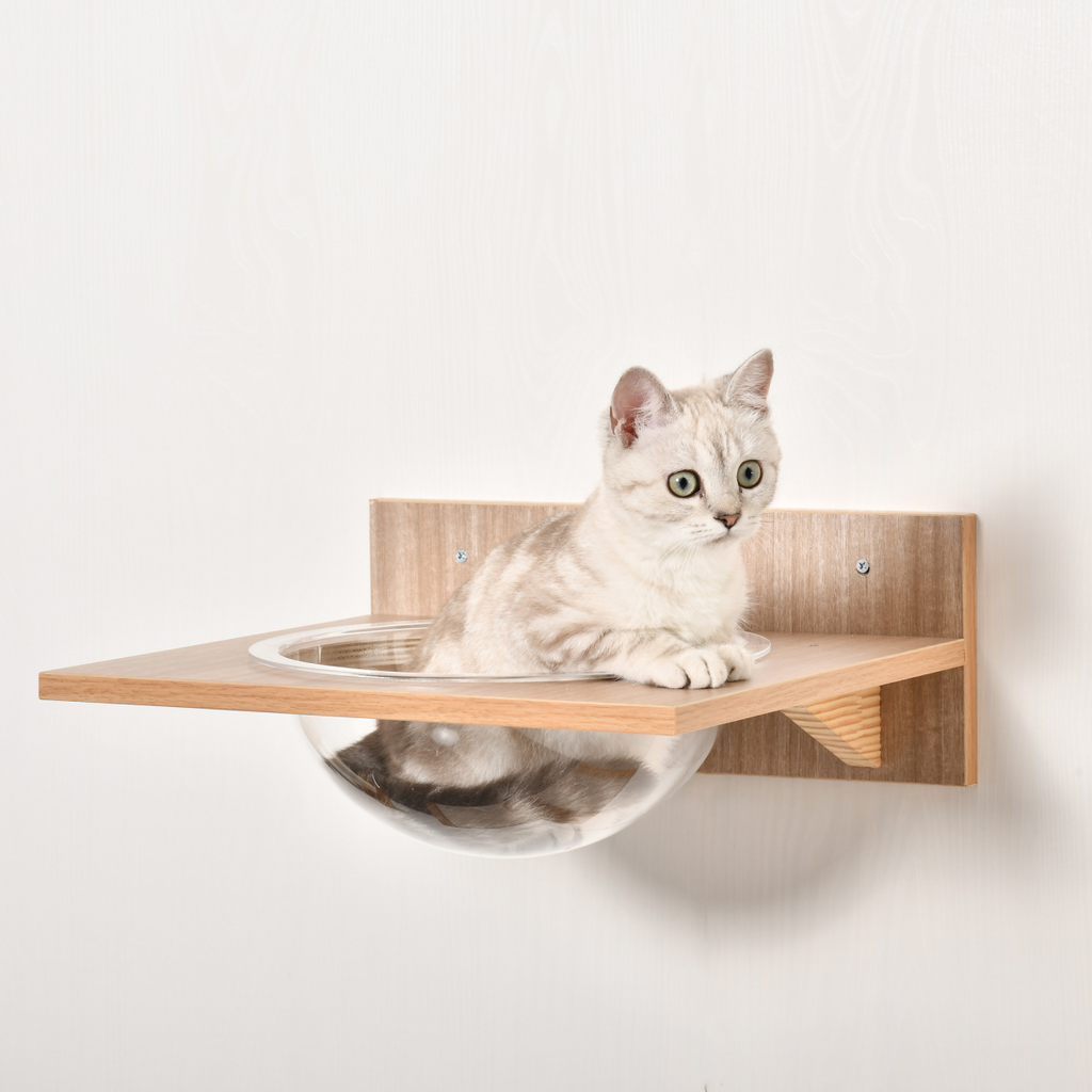 Pawhut wall-mounted cat tree shelf set with climbing tower, hammock, and scratching post for feline play and rest.
