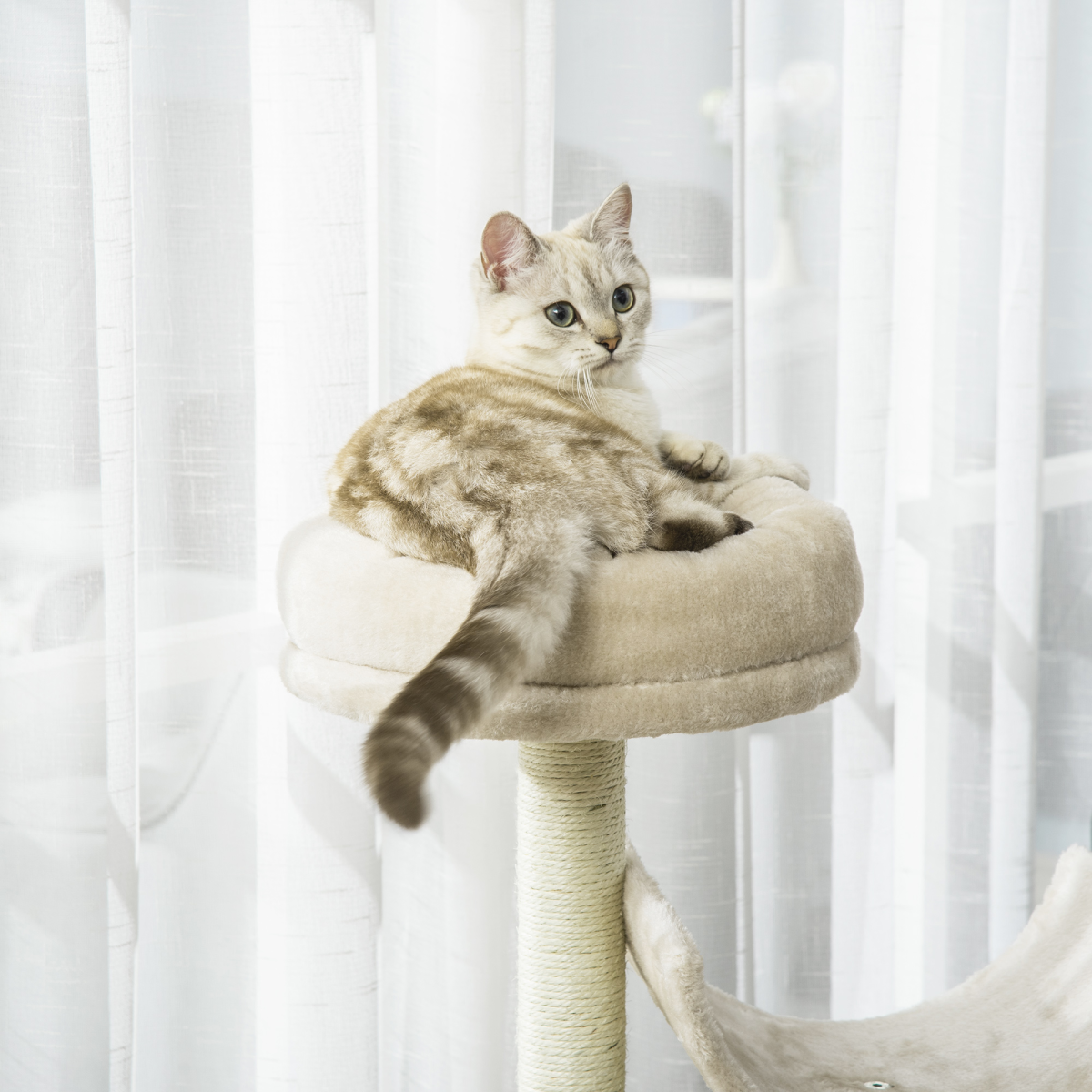 Beige multi-level cat tree by Pawhut featuring scratching posts, perches, and a tunnel for playful cats.