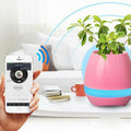 Pink Music Flower Pot Bluetooth Speaker by Debonair, designed for bedroom, office, and living room decor.