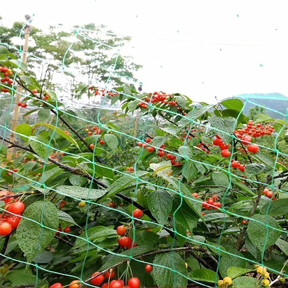 Heavy-duty green bird netting 10x2M, two pack from Aspect, ideal for protecting gardens from birds and pests.