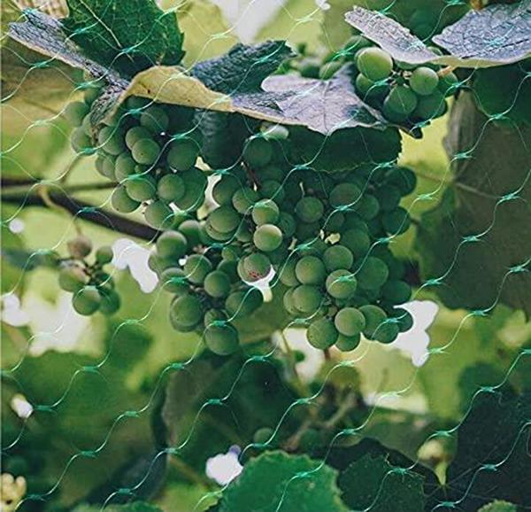 Heavy-duty green bird netting from Aspect, 2 pack, 10x2M, ideal for protecting gardens from birds.