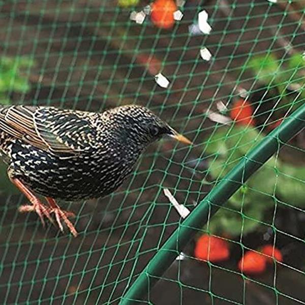 Heavy-duty green bird netting by Aspect, 2 pack, 10×2M, ideal for garden protection against birds.