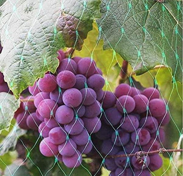 Heavy-duty green bird netting by Aspect, 10x2M size, shown in two packs for garden protection.