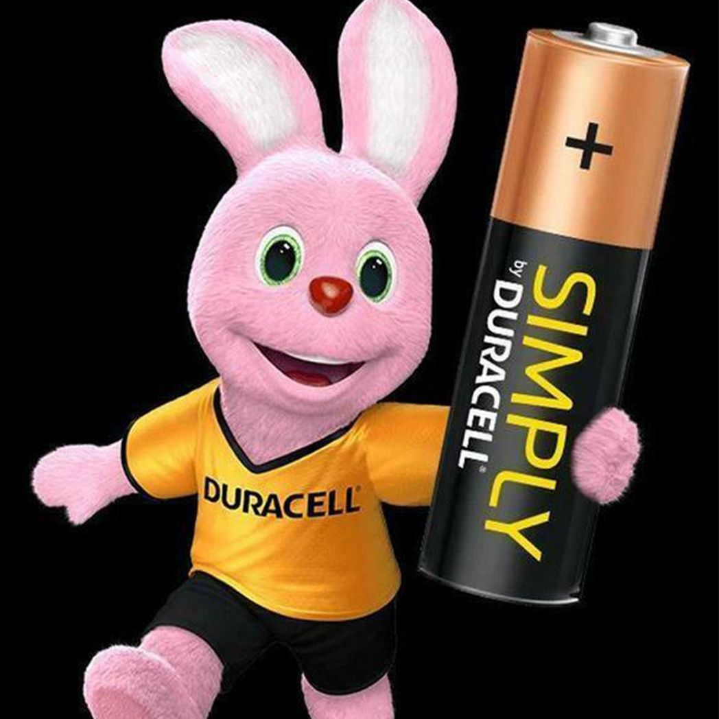 Duracell Simply AA Non Rechargeable Batteries - 12 Pack - 1.5V Alkaline