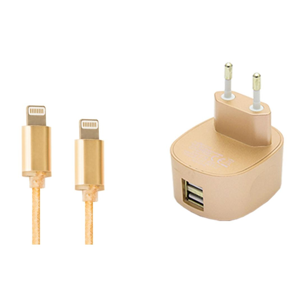 FX TechHub dual USB mains charger with EU plug, 2.4 AMP, multicoloured design, showing the gold finish and ports.