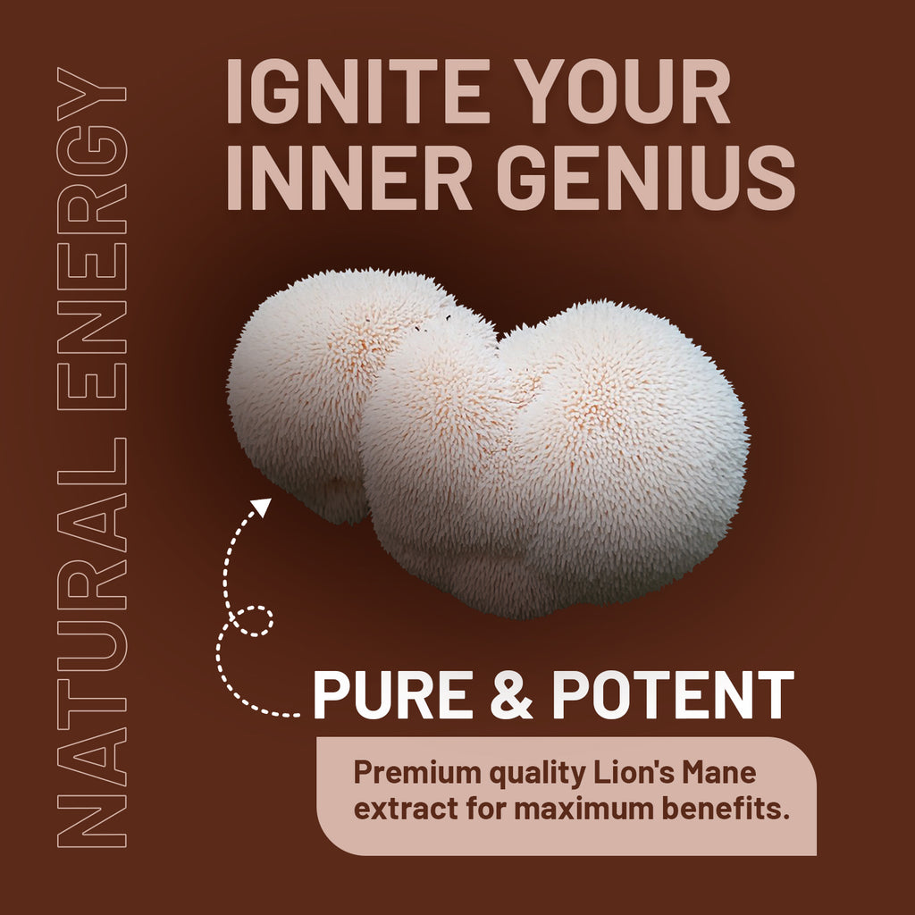Lions Mane Mushroom supplement capsules with Vitamin B and Black Pepper by Prowise Healthcare on a wooden surface.