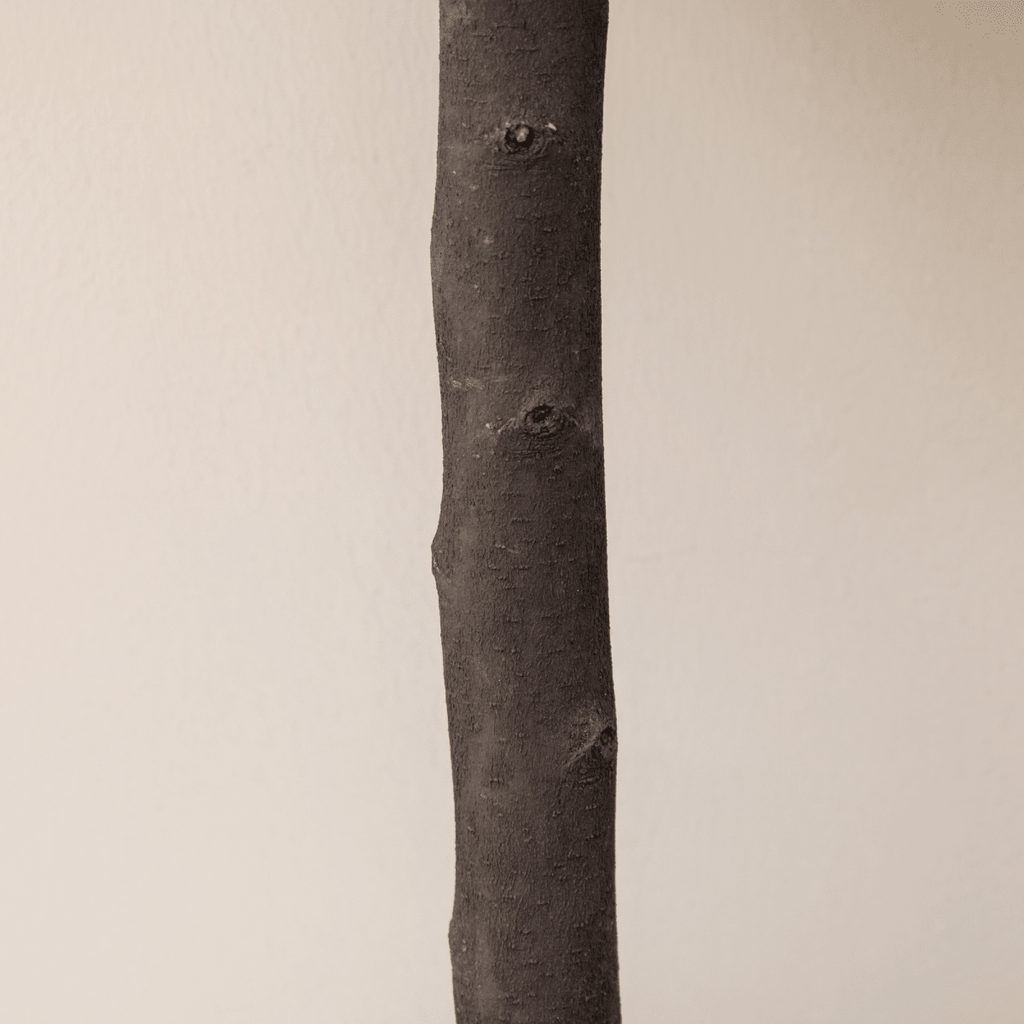 Set of 2 Potted Artificial Plants - Boxwood Ball Trees - Outdoor - 60cm - AKGOmniShop